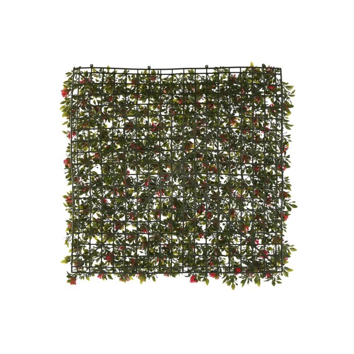 Jardin Vertical DKD Home Decor Verde Rojo 50 x 5 x 50 cm (4 Unidades) 3 Jardin Vertical DKD Home Decor Verde Rojo 50 x 5 x 50 cm (4 Unidades) 3