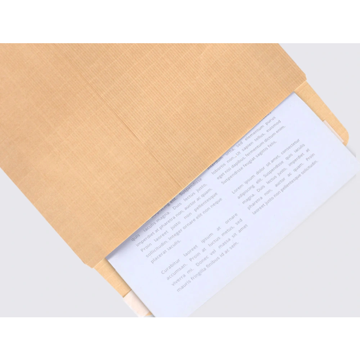 Liderpapel Bolsa Kraft N.13 310x410 mm con Tira de Silicona Caja 250 Unidades 8