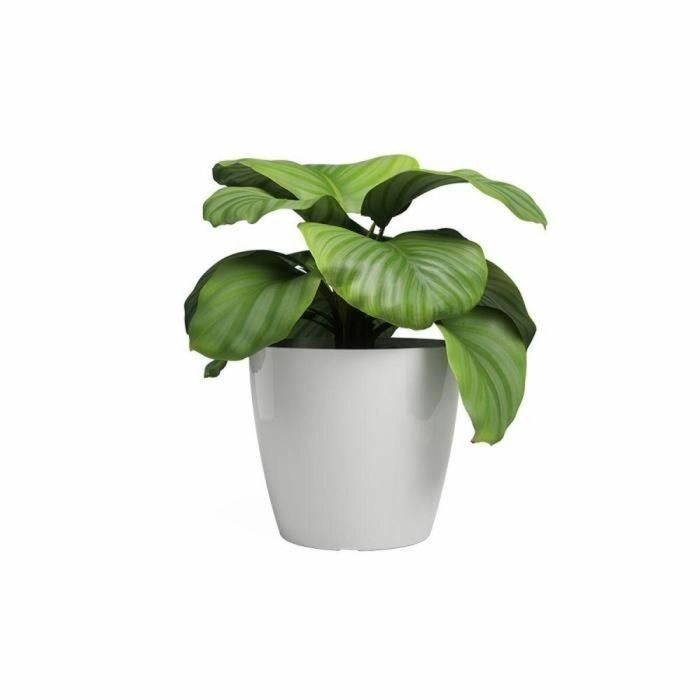 Macetero Artevasi SAN REMO Blanco Ø 36 cm (4 Piezas) 1