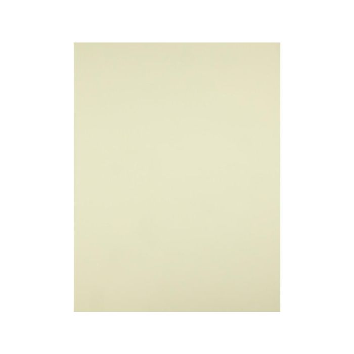 Cartulina Liderpapel 50x65 cm 180 gr-M2 Amarillo 125 unidades 2