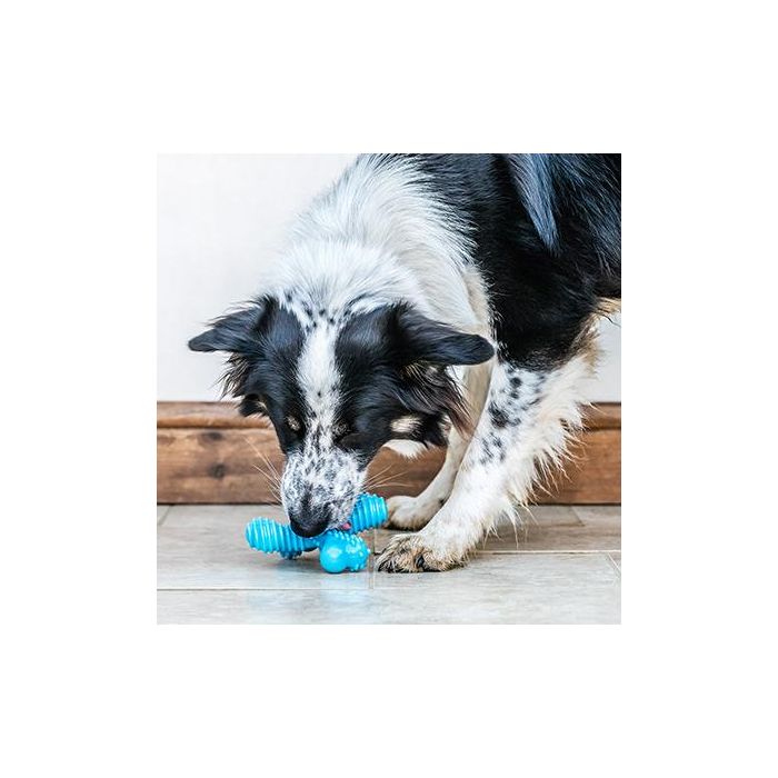 Nylabone Dura Chew X Bone Beef L Nylabone Dura Chew X Bone Beef L