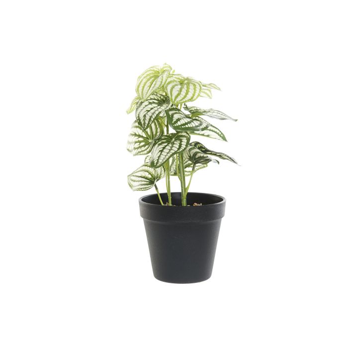 DKD Home Decor Planta Artificial Decorativa Verde Negro de PVC y Plástico de 13x27x13 cm - Pack 4 Unidades 0 DKD Home Decor Planta Artificial Decorativa Verde Negro de PVC y Plástico de 13x27x13 cm - Pack 4 Unidades 0