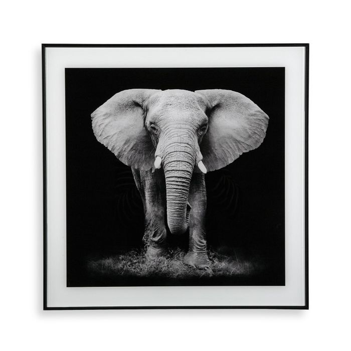 Cuadro Cristal Elefante Versa 2X50CM (2 Unidades) Cuadro Cristal Elefante Versa 2X50CM (2 Unidades)