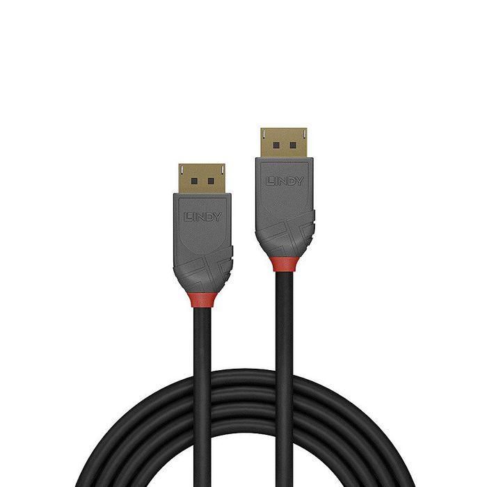 Cable DisplayPort LINDY 36483 3 m Negro 1 Cable DisplayPort LINDY 36483 3 m Negro 1