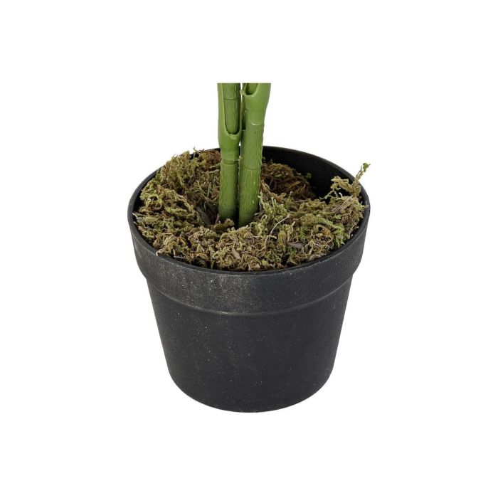 Planta Urban DKD Home Decor Verde 40 x 100 x 40 cm 1 Planta Urban DKD Home Decor Verde 40 x 100 x 40 cm 1