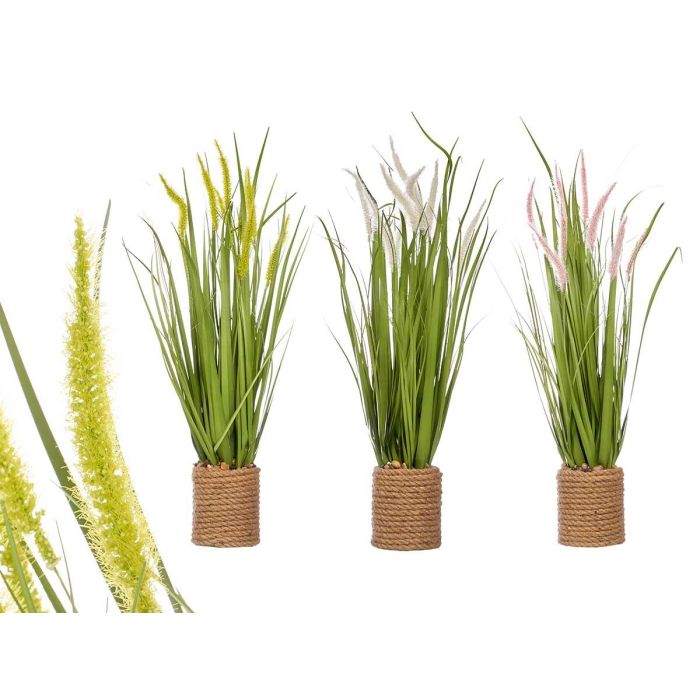 Ramillete de Cuerda Espigas Surtidos Ibergarden 30x69x30 cm - Blanco, Rosa, Verde (3 Unidades) Ramillete de Cuerda Espigas Surtidos Ibergarden 30x69x30 cm - Blanco, Rosa, Verde (3 Unidades)