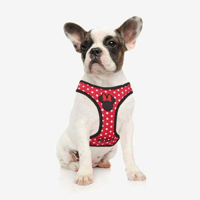 Arnés para perros m/l minnie talla m-l 6