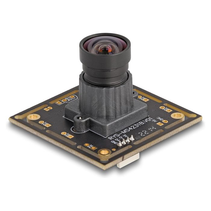 DeLOCK Cámara Web USB 2.0, 2.1 Megapíxeles Full HD 1080p, Sensor CMOS, Enfoque Fijo 84°, V6, Compatible con Windows 10/11 1