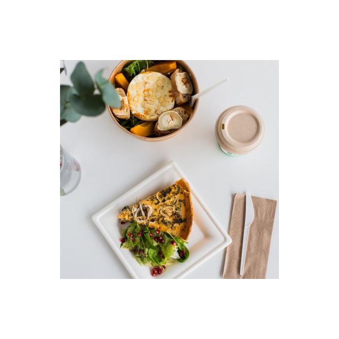 Set de 25 Platos Biodegradables Cuadrados 20 cm Algon (12 Cajas) 3 Set de 25 Platos Biodegradables Cuadrados 20 cm Algon (12 Cajas) 3