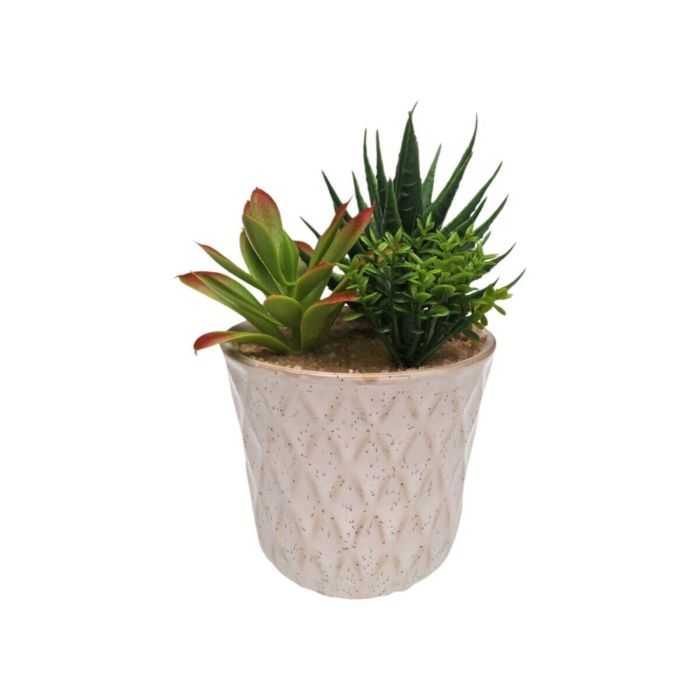 Planta Decorativa Versa Cerámica Plástico Fusion Suculenta 7,8 X 14 X 7,8 CM 1 Planta Decorativa Versa Cerámica Plástico Fusion Suculenta 7,8 X 14 X 7,8 CM 1