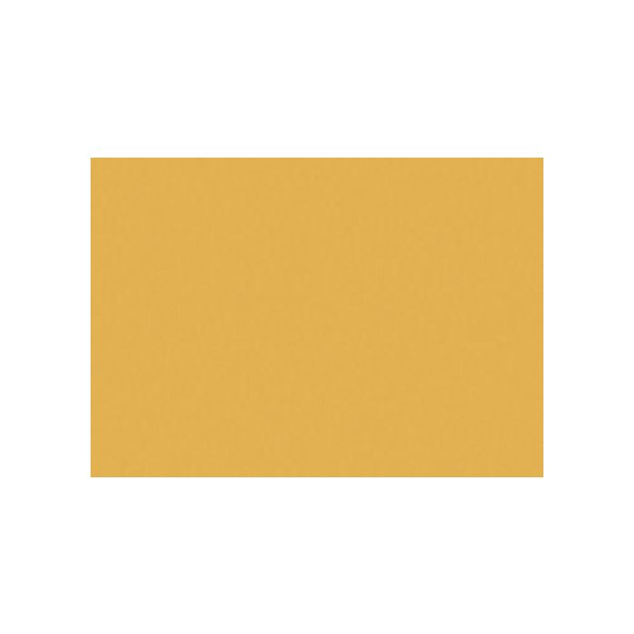 Cartulina Fluor A3 Iris 250G Naranja Paquete De 50