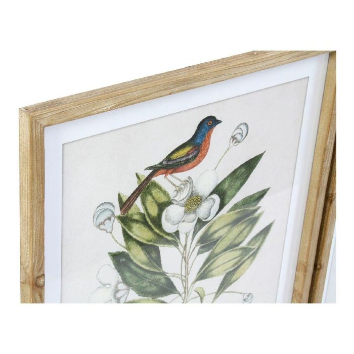 Cuadro Tropical DKD Home Decor Verde Beige 2.5 x 70 x 55 cm (4 Unidades) 2 Cuadro Tropical DKD Home Decor Verde Beige 2.5 x 70 x 55 cm (4 Unidades) 2