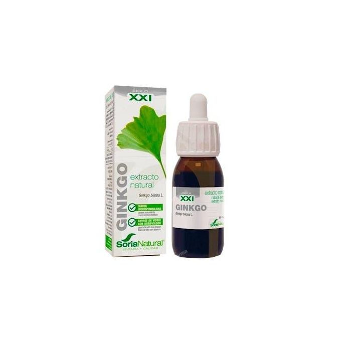 Extracto Ginkgo Biloba