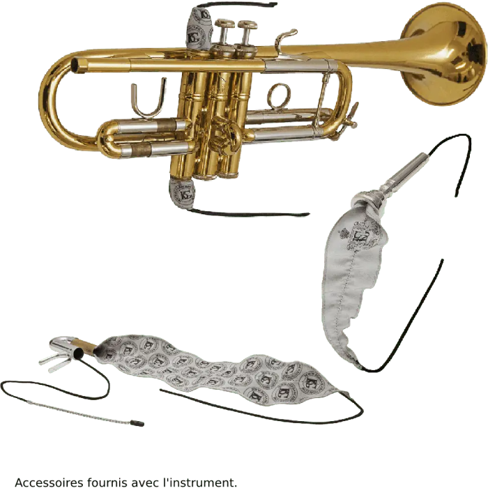 SML Corneta Sib Co50 SML Ancho 18cm Alto 27cm Largo 44cm Instrumento Musical de Viento Madera Laton Brillo 3