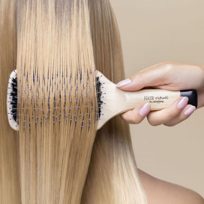 Cepillo Desenredante Sisley Hair Rituel Negro 6 Cepillo Desenredante Sisley Hair Rituel Negro 6
