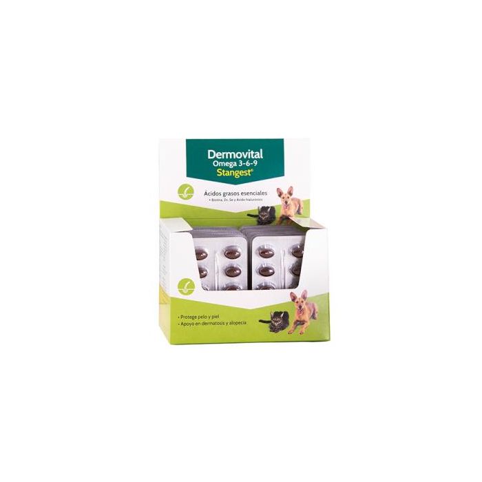 Stangest Dermovital Omega 3-6-9 - 300 Cápsulas para Piel y Pelo de Perros y Gatos Stangest Dermovital Omega 3-6-9 - 300 Cápsulas para Piel y Pelo de Perros y Gatos
