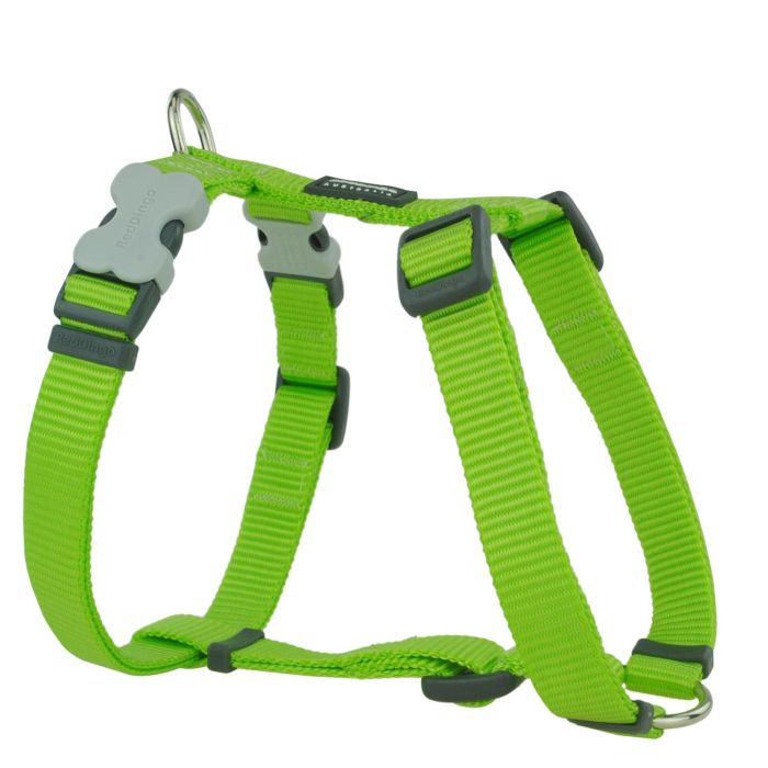 Petral Liso Rd Lima 25 mm Cuello: 62-109 cm Petral Liso Rd Lima 25 mm Cuello: 62-109 cm