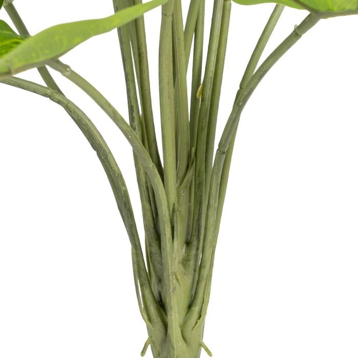 Rama Singonio Verde "Pvc" 43 X 41 X 46 cm