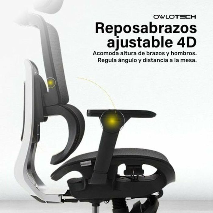 Silla de Oficina Owlotech Negro 2 Silla de Oficina Owlotech Negro 2