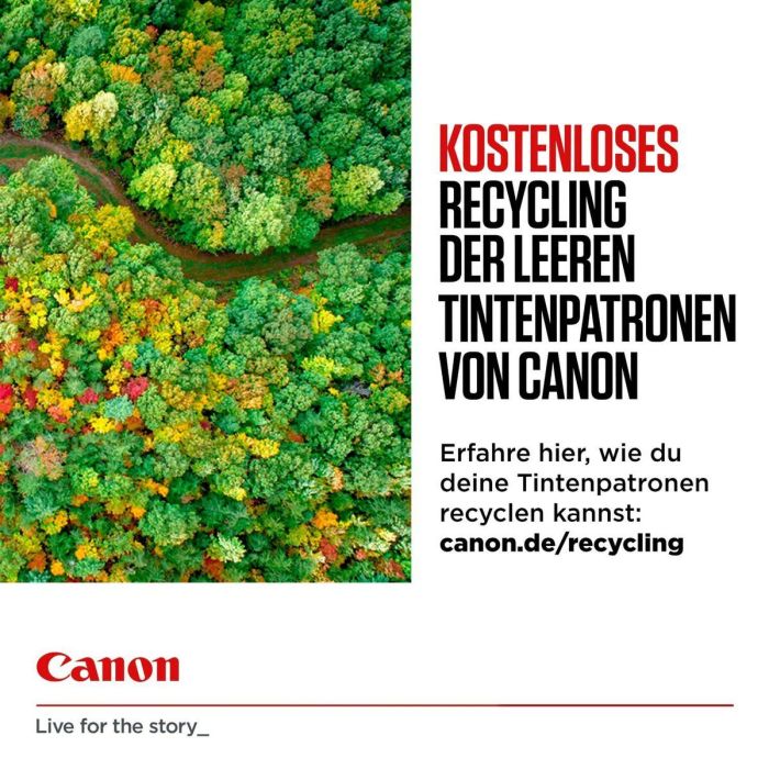 Canon Pixma TS615x/TS815x/TS915x/TR755x/TR855x Cartucho cyan CLI581 14