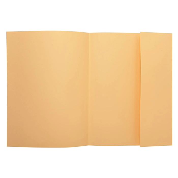 Exacompta Subcarpeta DIN A4 Crema 160g/m2 con Solapa Interior 1