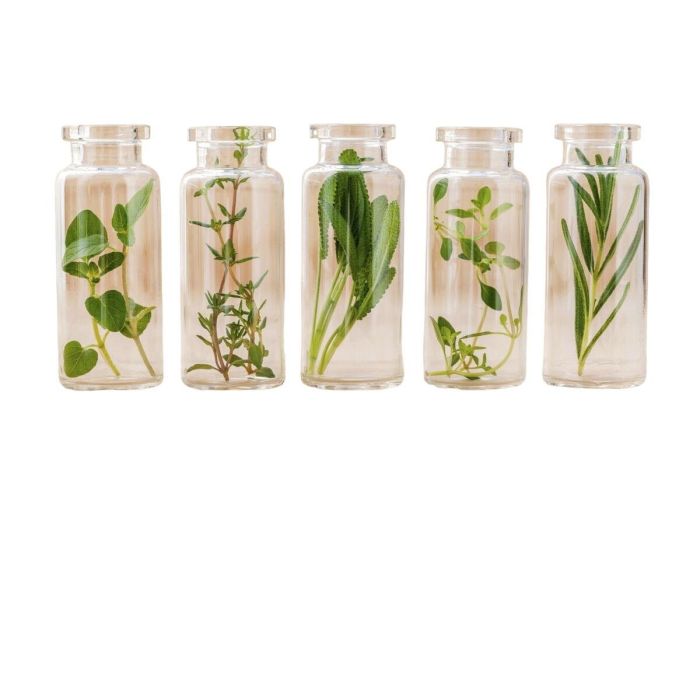 Crema para Tratar las Varices 500 Cosmetics Varesil 100 ml 3 Crema para Tratar las Varices 500 Cosmetics Varesil 100 ml 3