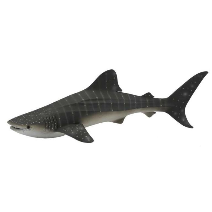 Collecta 88453 Tiburón Ballena Figura Animal Marino Escala XL. Réplica Detallada y Pintada a Mano. Alta Calidad. Educativa +3 años Collecta 88453 Tiburón Ballena Figura Animal Marino Escala XL. Réplica Detallada y Pintada a Mano. Alta Calidad. Educativa +3 años