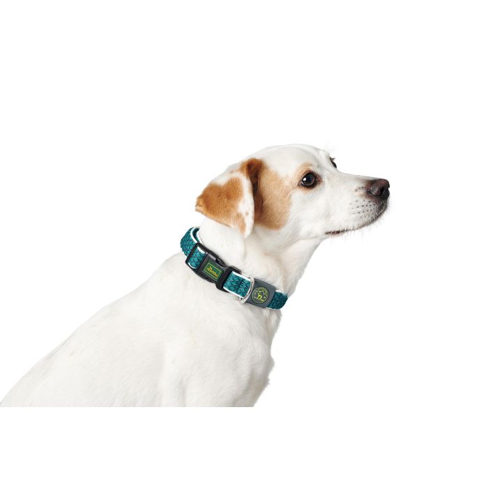 Collar para Perro Hunter Vario Basic Hilos Turquesa 20 2