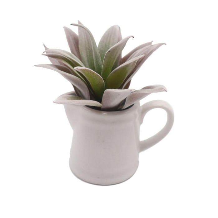 Planta Decorativa Versa Cerámica Plástico 11,43 x 11,94 x 11,43 cm Planta Decorativa Versa Cerámica Plástico 11,43 x 11,94 x 11,43 cm