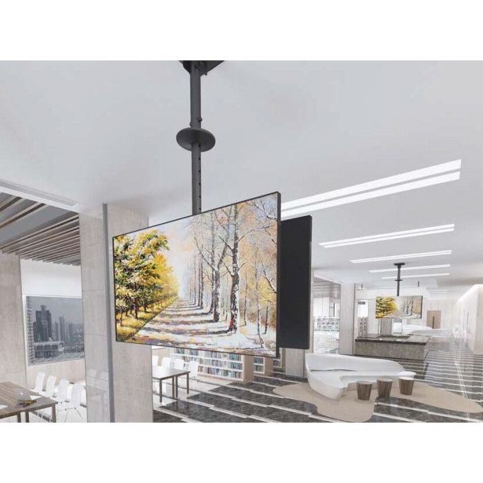 EQUIP Soporte TV Techo Doble Pantalla 39"-75" 2TFT hasta 80kg Inclinable Ajustable Negro 3