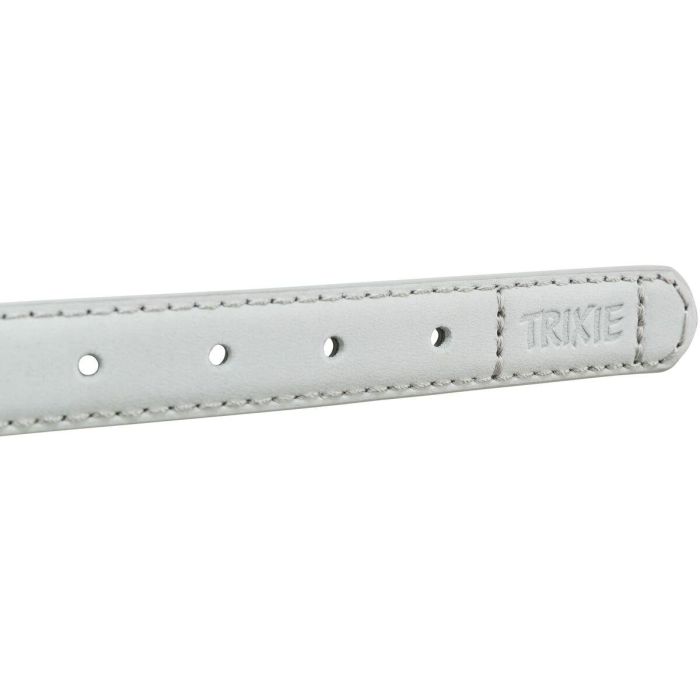 Collar para Perro Trixie BE NORDIC Gris claro M 45 cm 4