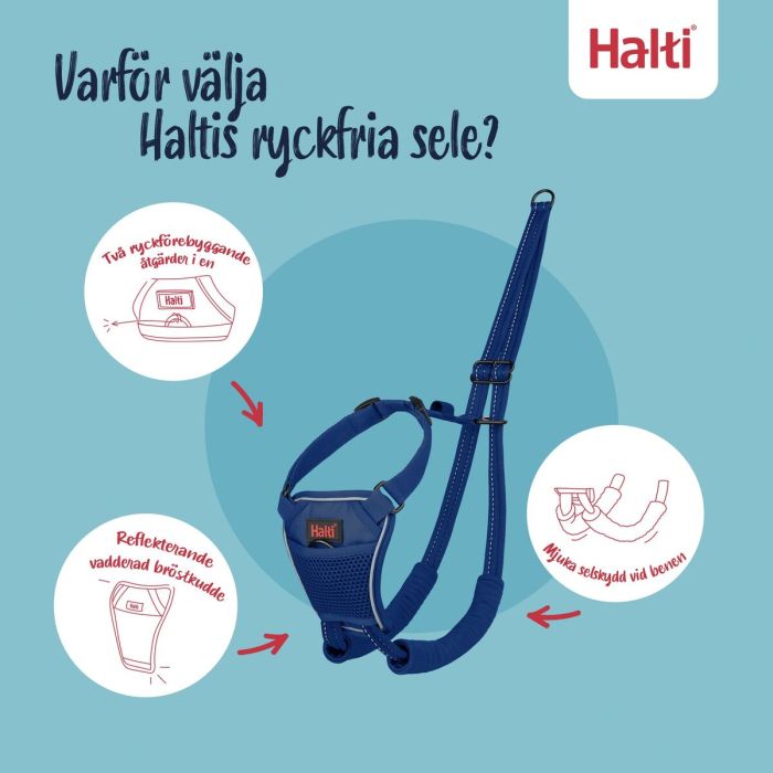 Arnés para Perro Company of Animals Blue 20 10 Arnés para Perro Company of Animals Blue 20 10