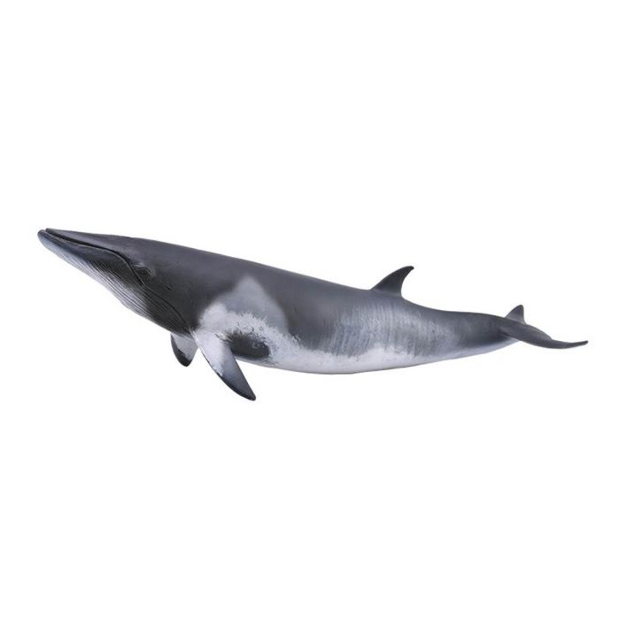 Ballena Minke - Xl - 88862 - Collecta Ballena Minke - Xl - 88862 - Collecta