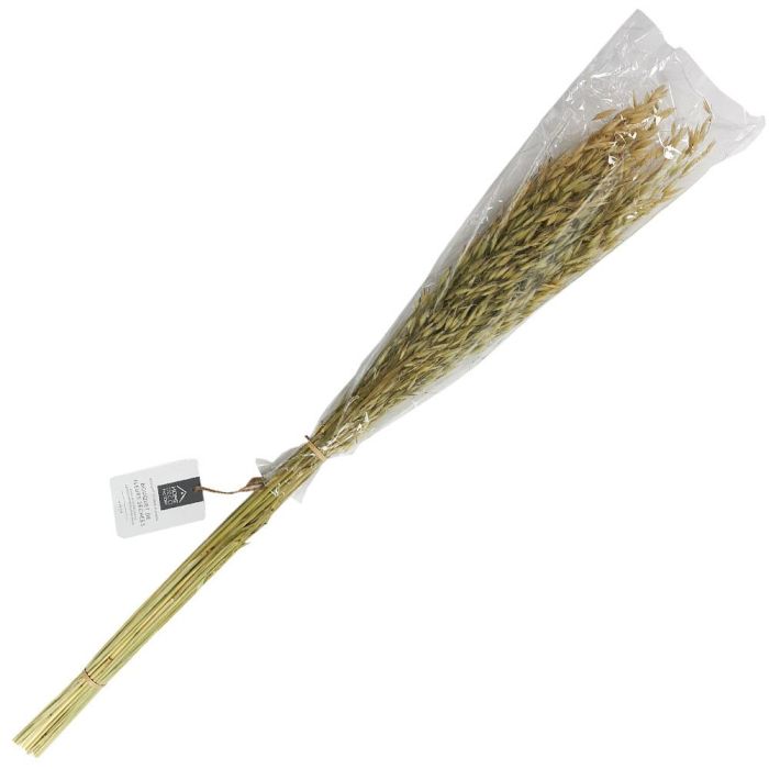 Ramo Flor Seca Home Deco Factory altura 75 cm  1