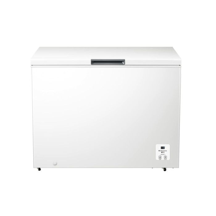 Congelador Hisense FT321D4AWLE 3 Congelador Hisense FT321D4AWLE 3
