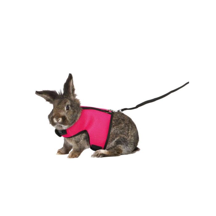 Arnés para Perro Trixie 1