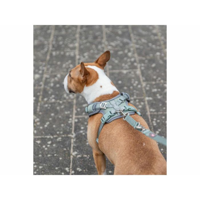 Arnés para Perro Trixie Premium FlexMesh S-M 6 Arnés para Perro Trixie Premium FlexMesh S-M 6