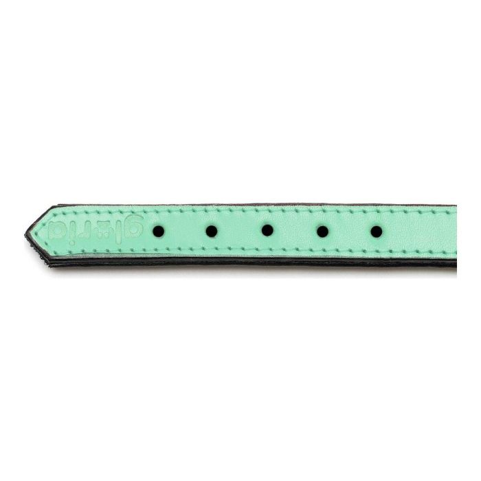 Collar Piel Acolchado 30 cm X 15 mm Verde 1 Collar Piel Acolchado 30 cm X 15 mm Verde 1