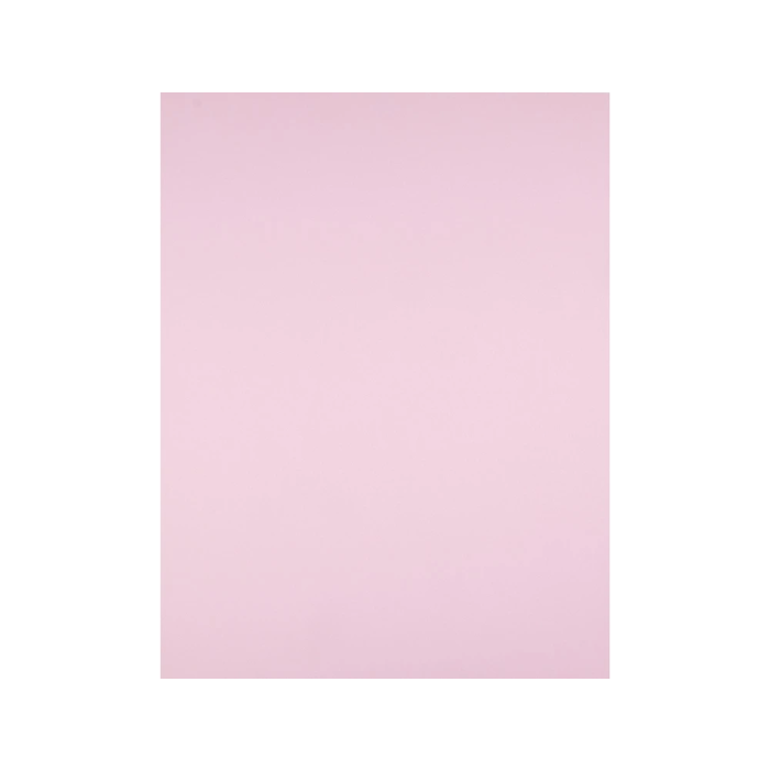 Liderpapel Cartulina Rosa 50x65 cm 240g/m2 Paquete de 25 Hojas para Dibujo y Manualidades 2