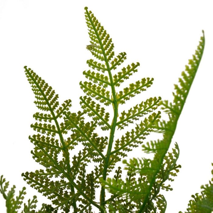 Planta Decorativa Polietileno Plástico Helecho 26 x 26 x 45 cm 3 Planta Decorativa Polietileno Plástico Helecho 26 x 26 x 45 cm 3