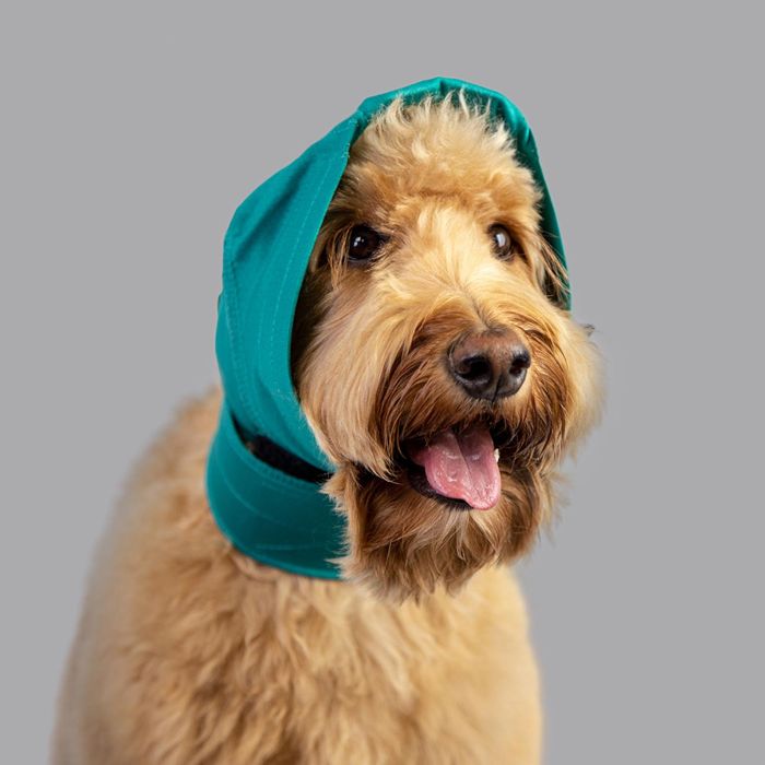 KVP No Flap Protector Cubre Orejas para Perros | Malla Transpirable Verde Talla L | Post-quirúrgico, Recuperación y Protección contra Espigas/Insectos