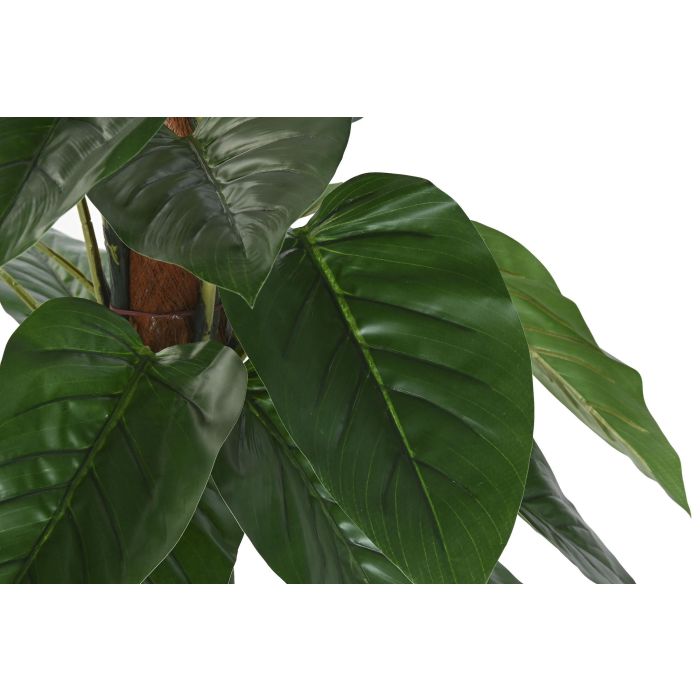 Planta DKD Home Decor Verde Marron 60 x 120 x 60 cm (2 Unidades) 1 Planta DKD Home Decor Verde Marron 60 x 120 x 60 cm (2 Unidades) 1