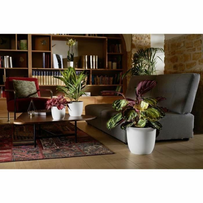 Eda EDA3086960265533 Opal Chape Ø 29.5 cm - Volumen 14.8 L - White White 2 Eda EDA3086960265533 Opal Chape Ø 29.5 cm - Volumen 14.8 L - White White 2