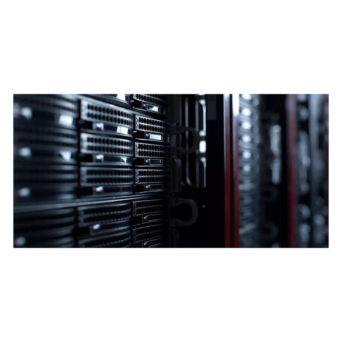 Disco Duro Western Digital 3,5" 2 TB SSD 14 TB 1