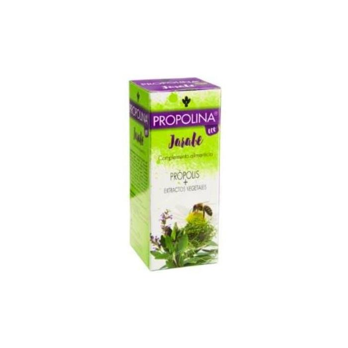 ARTESANIA Propolina Eco Jarabe 200ml para Resfriados y Gripe con Própolis y Extractos Ecológicos