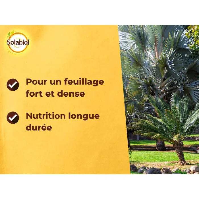 Solabiol SOPALMY15 Fertilizante Palmeras y Plantas Mediterráneas - 1,5 Kg 4