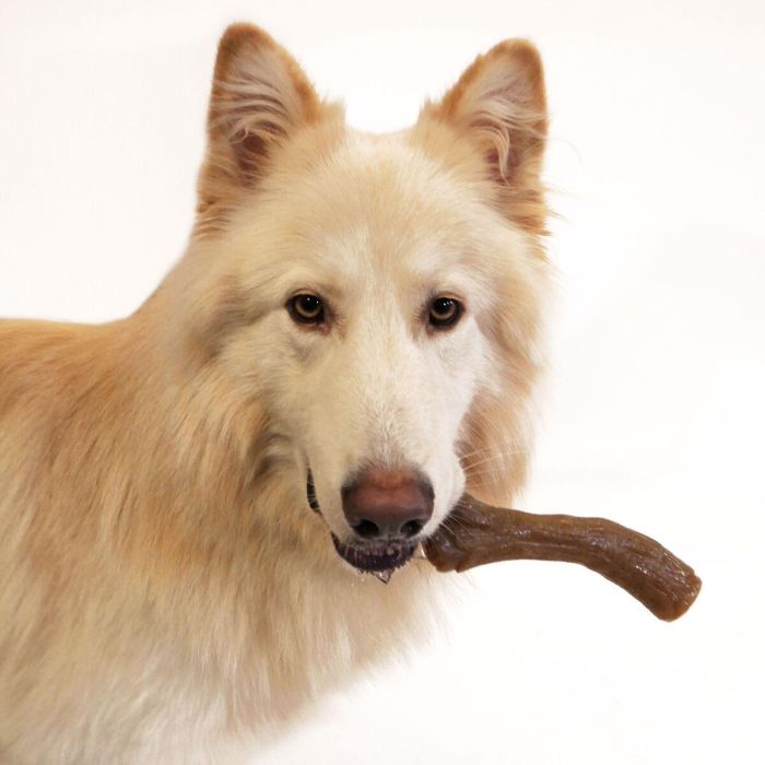 Nylabone Gourmet Stick Cacahuete XL 1 Nylabone Gourmet Stick Cacahuete XL 1