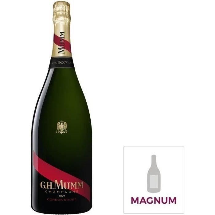 Mumm Brut gran X1