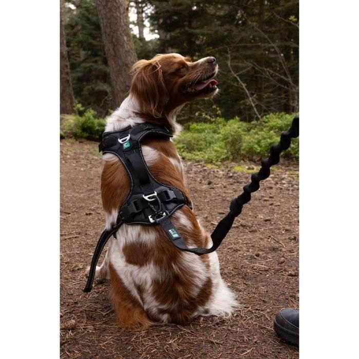 Cani C Gear AUC3760402170448 Arnés para perros SYMBIOZ Talla S Negro/Azul 3