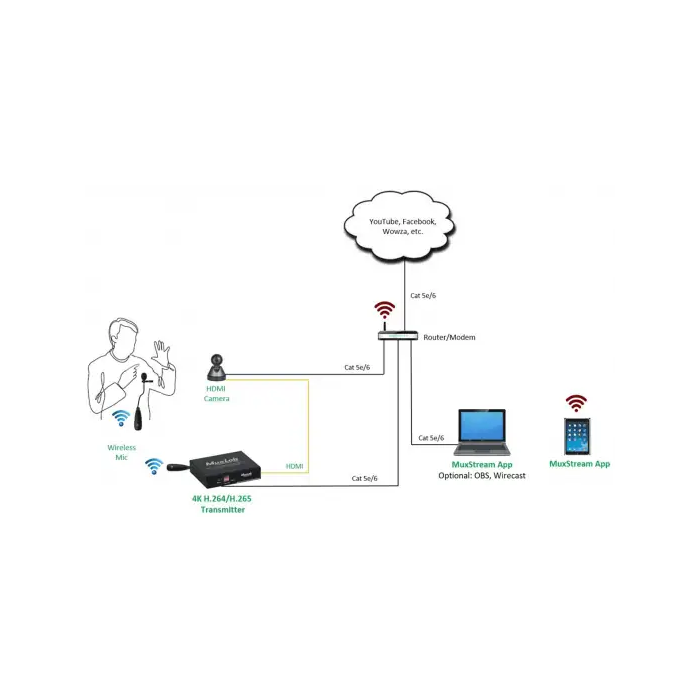 MUXLAB 500791 Kit Streaming Cámara PTZ HDMI/IP con Transmisor, Micrófono Inalámbrico y Cable HDMI 1